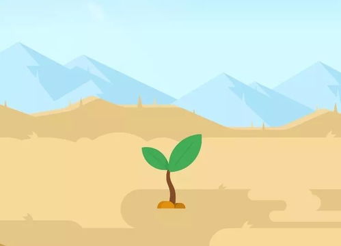 揚(yáng)州鐵杉木方