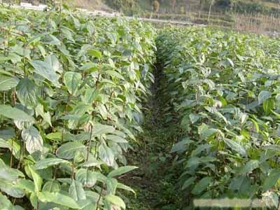 将充分支撑唐山区域内的跨境电商相关服务的时效性和"一站式"需求.