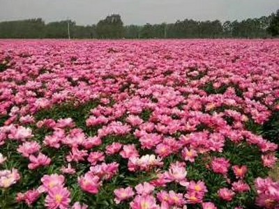 如何成功应对考研辅导班面试