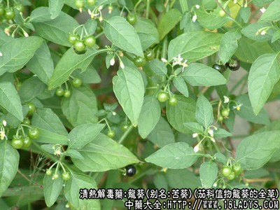 点击这里给我发消息