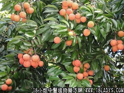 鎮(zhèn)江花旗松木方