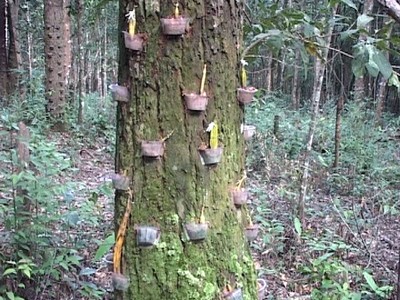 兰州思泊湖餐饮管理有限公司