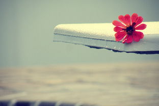 如何提高英语阅读能力