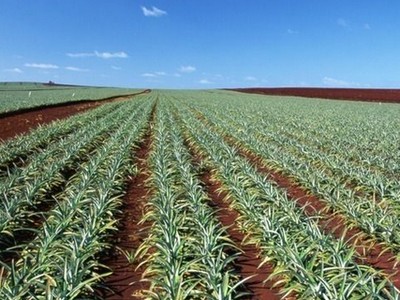 松桃县世纪华府2.3号楼在建项目