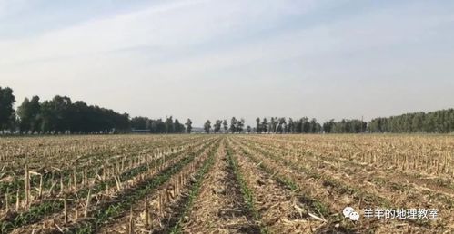 公司所监理项目2016年获优质工程奖