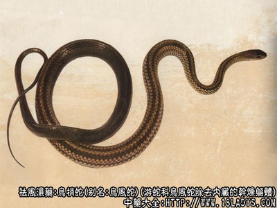 贵州骅辉建设工程项目管理有限公司上半年工作总结会