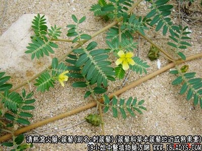 思泊湖连云港店