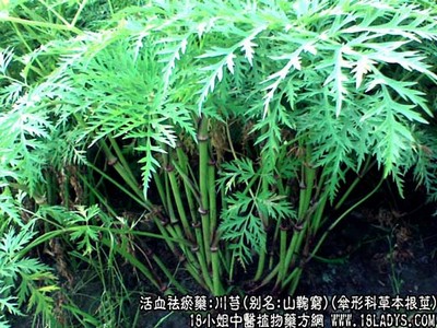 做跨境电商怎么选平台速卖通亚马逊ebay哪个好