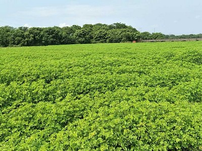 如何选择适合自己的2022年考研面试培训班